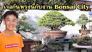 เจอกันพรุ่งนี้กับงาน Bonsai City สุพรรณบุรี งานบอนไซเสนอผลงานน้องใหม่และพบกับเทคนิคบอนไซมากมาย