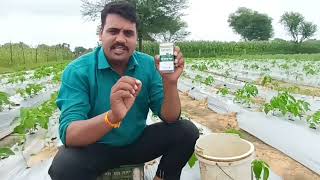 Mi#Organic #Indiagrow Products |#new #Demo MiVeer and Mi Spray Plush  #viral By Rajesh Kaloya.