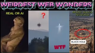 weirdest web wonders vol 5