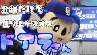 【グリ】場を沸かせる力がありすぎるドアラさん【イケコアラ】