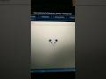make panda by python turtle ll #computer #panda #python