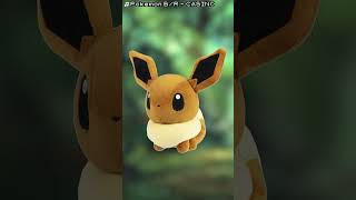 The Year of Eevee - EP 1: EEVEE #pokemon #eevee #yearofeevee #theyearofeevee #pokémon #pokemongo