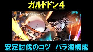 ガルドドン４海賊の安定討伐解説