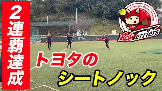 トヨタレッドテリアーズの徹底的なシートノック！