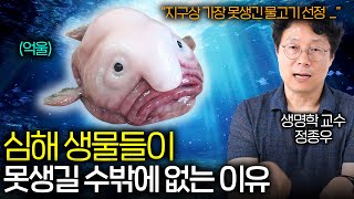 햇빛조차 닿지 않는 심해에는 어떤 생물체들이 살고 있을까?