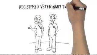 OAVT's 2013 RVT Promotional Video: What is a Registered Veterinary Technician?