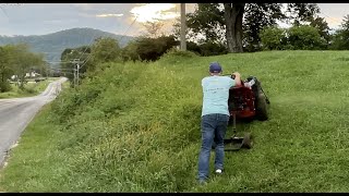 Mowing Our Overgrown Mess of a Lawn!