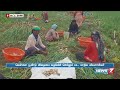 கிடுகிடுவென உயர்ந்த பூண்டு விலை.. எவ்வளவு தெரியுமா garlic price cultivation ooty