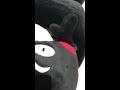 20190122 想坐在車上給小姐姐推 結果跌倒 😂😂😂 微風廣場超市 くまモン kumamon