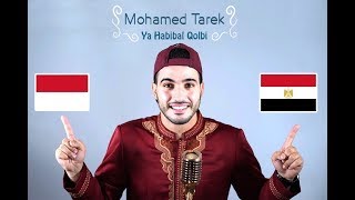 Mohamed Tarek - Ya Habibal Qolbi | محمد طارق - يا حبيب القلب