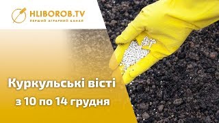 Дайджест || Куркульські вісті з 10 по 14 грудня