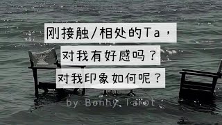 【Bonny Tarot】刚接触／相处／认识的Ta，对我有好感吗？对我印象如何呢？我们进一步发展的机会大吗？timeless | 大众占卜|塔罗占卜