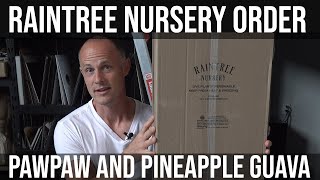 Raintree Nursery Unboxing: Pennsylvania Golden, Susquehanna Pawpaw, and Pineapple Guava planting.