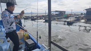 26/01/2025 Trip Mancing at Sangkar Sungai Udang Penang