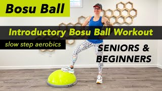 Slow Introductory BOSU Ball Step Aerobics Balance Workout for Seniors and Beginners