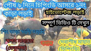 ৯ পৌষ চিপিংডি আসরে ১নং কাড়া লড়াই।। দেবাশীষ মাহাত বনাম স্বপন মাহাতো ।। শিং তাড়া তাড়ি লড়াই।।।