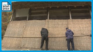 “屋根から落ちる雪”から合掌造りを守る  岐阜・白川村の積雪は2ｍを超えることも 本格的な冬を前に「おだれ」で雪囲い