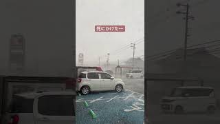 なんで看板とかって人の方に飛んでくるんやろな #Shorts #TikTok #おすすめ #雪 #大雪 #冬 #事故 #大阪 #おもしろ