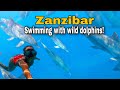 Ultimate BUCKETLIST ACTIVITY in Zanzibar | Swimming with wild DOLPHINS at Mnemba island 🇹🇿