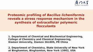 B\u0026B: Proteomic profiling of Bacillus licheniformis for the synthesis of polymers