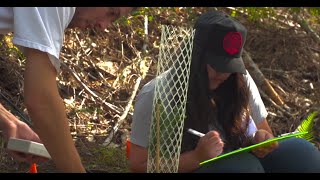 HSU Forestry Program
