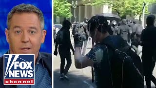 Gutfeld on Antifa attacking journalists