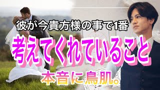 彼が今私の事で考えている事💛準備はできましたか？❤️【タロット王子の恋愛占い🤴🏼】今、彼の恥ずかしくて言えない本音をトトロ人形が関西弁でお伝えします❤️【神展開も辛口展開もあり】衝撃の結果に涙…