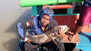 target naik ke daratan 12 kg bersama pemancing liar singkawang #fishing #singkawang