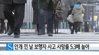 안개 낀 날 보행자 사고 사망률 5.3배 높아 / YTN 사이언스