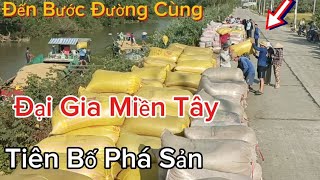 Cập Nhật Giá Lúa Hôm Nay Hơn 2000 Bao Lúa 504 Rớt Giá Kỉ Lục Bán Ra 5.400đk l Dũng Miền Tây TV