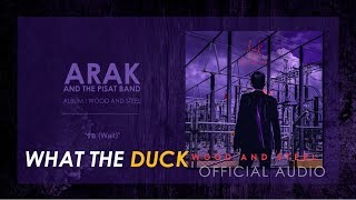 Pae Arak - รอ (Wait) [Official Audio]