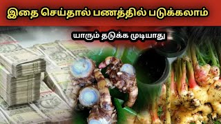 Money vasiyam/ பணம் வசியம் /கோடீஸ்வரன் #ஸ்ரீபத்ரகாளியம்மன்#சக்தி#பீடம்.        Kali manthirigam/