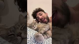 Cat imitates its owner #funnyvideo #funnycat #petcat #cat #pet #funny #pets #cats