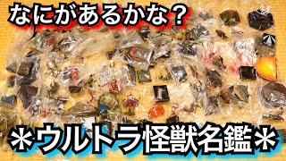 爆死？勝利？【ジャンク開封】3万5000円 でウルトラ怪獣名鑑ジャンクセット買ってみた。  ★怪獣名鑑 　怪獣戯画 Ultraman Toys Collection