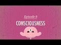 Consciousness: Crash Course Psychology #8
