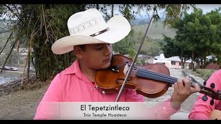 El Tepetzintleco por el Trío Temple Huasteco de Tihuatlán, Ver.