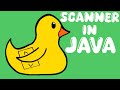 How To Get User Input With Scanner In Java