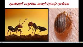 உயிர் வகை