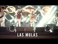 Los Canelos de Durango - Las Mulas (2022  Con Tuba)