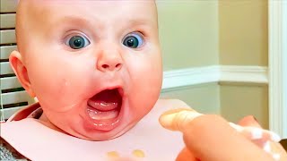 Hilarious Funny Baby s Compilation - Laugh Out Loud with Cute Babies