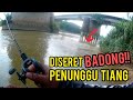 DISERET BADONG PENUNGGU TIANG | KASTKING BRUTUS VS SEBARAU