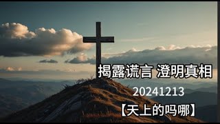 【揭露谎言、澄明真相】【圣经学习】 天上的吗哪 #马太福音