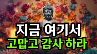 지금 여기서 고맙고 감사하라ㅣ 삶의 복과 지혜의 등불l 부처님의 진리 말씀l