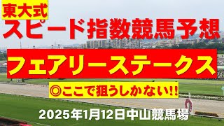 【フェアリーステークス２０２５】東大式スピード指数による競馬予想