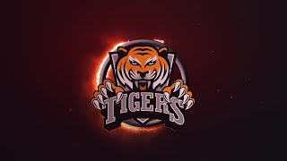 Fire Ring Logo Reveal After Effects Templates