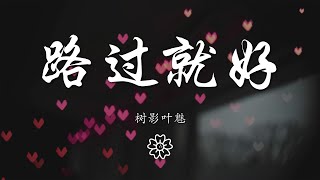 樹影葉魅 - 路過就好『明明你是飛鳥 路過就好』【動態歌詞Lyrics】