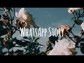 WhatsApp Story | Axel Johansson - Miracles