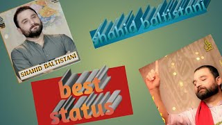 shahid baltistani best manqabat