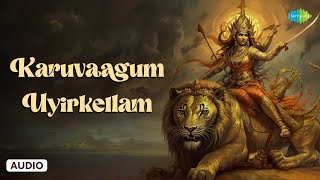 Karuvaagum | Dr. Sirkazhi S. Govindarajan | Lord Amman Songs Tamil | Saregama South Devotional