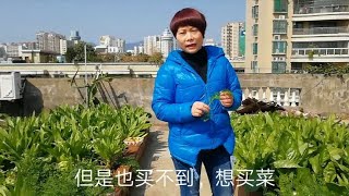 新型肺炎出现下的清远，看看市民是怎样淡定面对的？